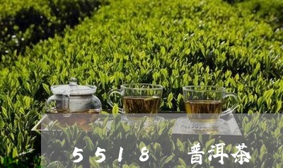 5518 普洱茶/2023041264859